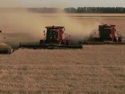 Elevated view of three combines harvesting grain in a large field. Stock Footage
