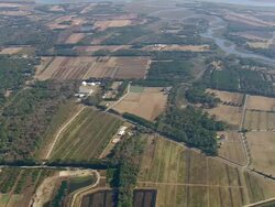 WS AERIAL View of landscape with trees / South Carolina, United States Stock Footage