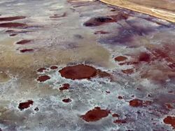 WS AERIAL DS View of dead sea salt formations / Ein boqeq, Sourn Judea Desert, Israel    Stock Footage