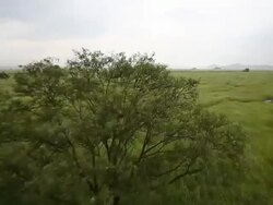 Hwaseong Dinosaur egg fossil site Stock Footage