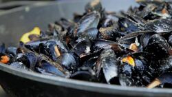 Fresh shells on plate Stock Footage