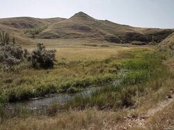 Little hills in a field in the prairies Stock Footage