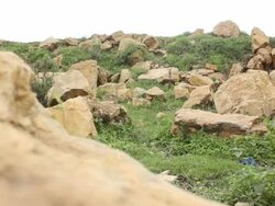 Landscape with stones and grass Stock Footage