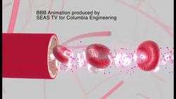 Good Vibrations Instructional Video