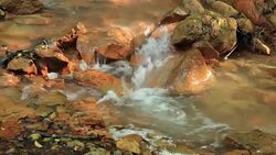 River with waterfall Stock Footage