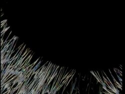 T/L crystal shards grow across frame Stock Footage