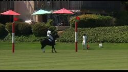 Duke and Duchess of Cambridge attend charity polo match Instructional Video