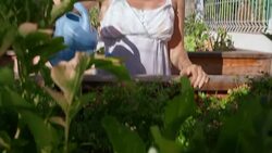TU Woman watering plants in her garden on sunny day Stock Footage