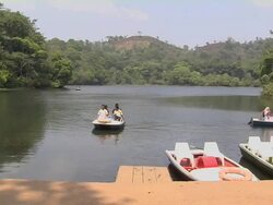 Block Shot Boats in Pookot Lake Kerala India Stock Footage