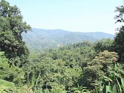 Mountain and forests. Stock Footage