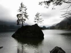 MS Two trees standing on rocky island in lake Hintersee / Berchtesgaden, Bavaria, Germany Stock Footage