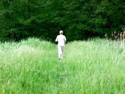 Man running in the meadow Stock Footage