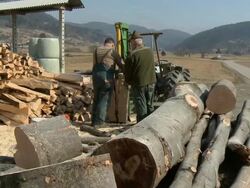 HD DOLLY: Two man preparing firewood Stock Footage