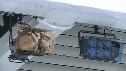 CLEAN : Autograph chasers gather in Cannes ahead of film festival News Clip