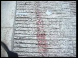 Two Palestinians killed in gunbattle with Israeli troops News Clip