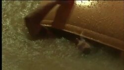 An accident victim tries to escape a sinking car. Stock Footage