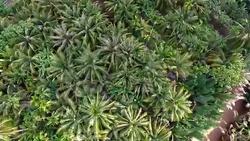 Mekong Driver travel from above Stock Footage