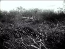 NUTS FOR FAT News Clip