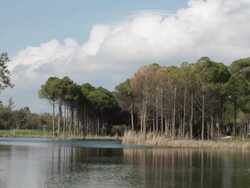 Water trap in golf course Stock Footage
