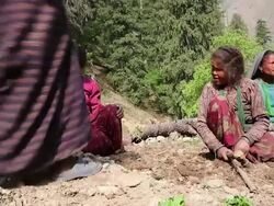 MS Himalayan women digging at mountain / Durma, Banke District, Nepal Stock Footage