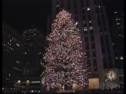 USA: NEW YORK: ROCKEFFELLER CENTRE CHRISTMAS TREE News Clip