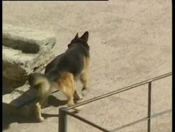 US President arrives for two-day official visit Instructional Video