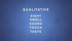 Making Careful Observations (Recording and Analyzing) Instructional Video