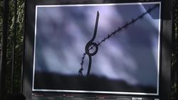 Exhibition on the First World War, 100 years since the beginning of the conflict News Clip