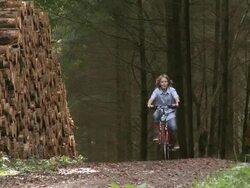 WS PAN Boy with bicycle at forest / Tawern, Rhineland-Palatinate, Germany                             Stock Footage