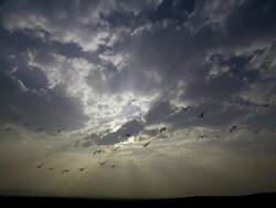WS POV T/L   Vast clouds  at sunset / Bandon, Oregon, USA Stock Footage