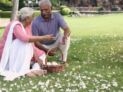 Senior couple picking flowers in the garden  Stock Footage