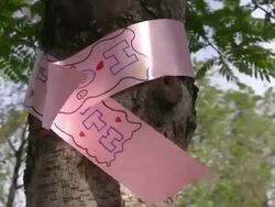 Breast Cancer 3-Day Race for the Cure Stock Footage