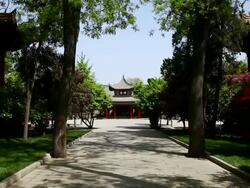 MS PAN Shot of Forest of Stelae Museum / Xian, Shaanxi, China Stock Footage