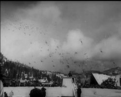 WINTER OLYMPICS News Clip