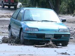 Devastating Flooding in Colorado Stock Footage