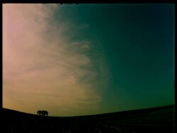 T/L early morning sky with tree on horizon, wispy clouds, fish eye lens Stock Footage