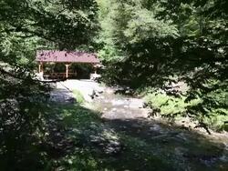 Dilijan national park, view of the river Stock Footage