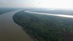 Aerial view of Sepik River, Papua New Guinea Stock Footage