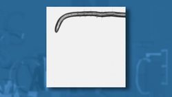 Developing Hardier, Weather-Resistant Crops Instructional Video