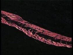 Spectacular lava flow across island News Clip