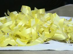 Seattle Hong Kong Solidarity Demo 1 Stock Footage