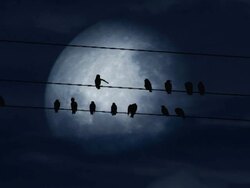 horror scene with sound Stock Footage