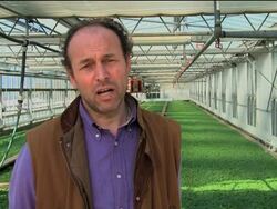 Genovese attempt to patent pesto News Clip