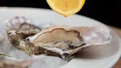 Oysters Stock Footage