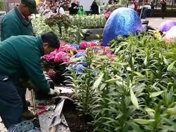 New York's Rockefeller Center Prepares For Easter Holiday Stock Footage