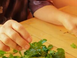 Picking basil Stock Footage