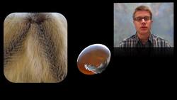 Electric Charge Instructional Video