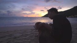 Woman and dog on the beach Stock Footage