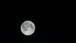 T/L,Full moon.Tokyo,Japan Stock Footage