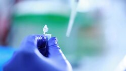 Scientist and bio lab experiment, Slow motion Stock Footage